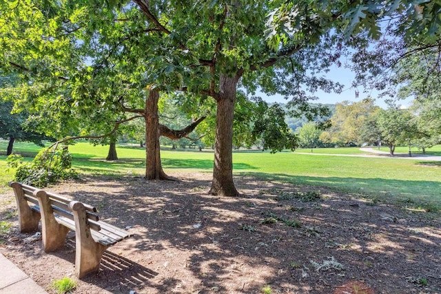 view of community with a lawn