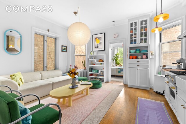 living room featuring crown molding and light hardwood / wood-style flooring