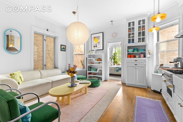 living room featuring ornamental molding and light hardwood / wood-style floors