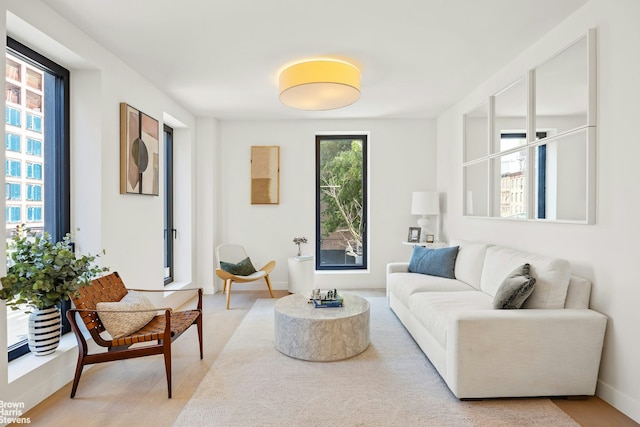 living room featuring baseboards and light wood-style floors