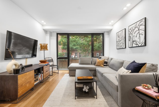 living room featuring light hardwood / wood-style floors