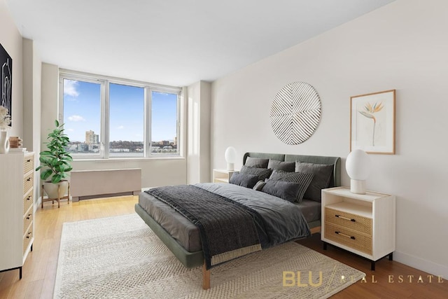 bedroom featuring light hardwood / wood-style floors