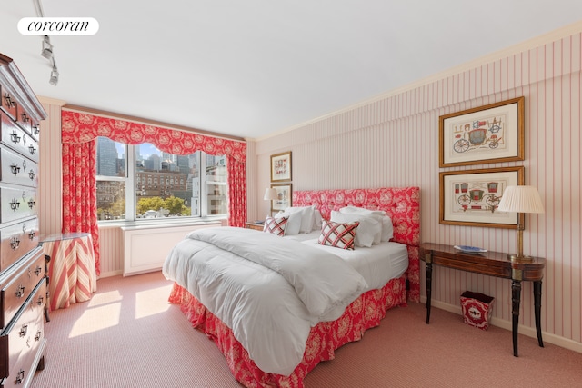 116 E 66th St Unit 8/9F, New York City, NY 10065 - bedroom featuring light colored carpet, a view of city, rail lighting, and baseboards