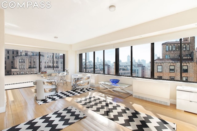 living room featuring a baseboard radiator and light hardwood / wood-style flooring