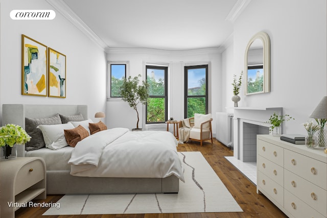 bedroom featuring crown molding, radiator, and dark hardwood / wood-style flooring