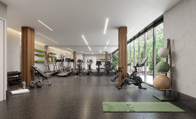 exercise room featuring a wall of windows