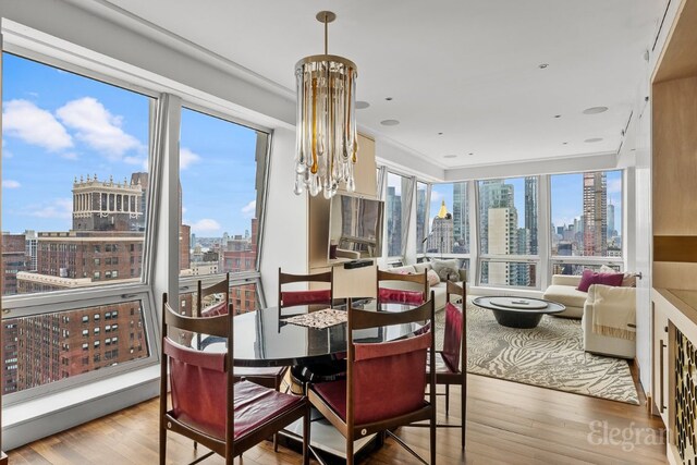 dining room with hardwood / wood-style floors and a healthy amount of sunlight