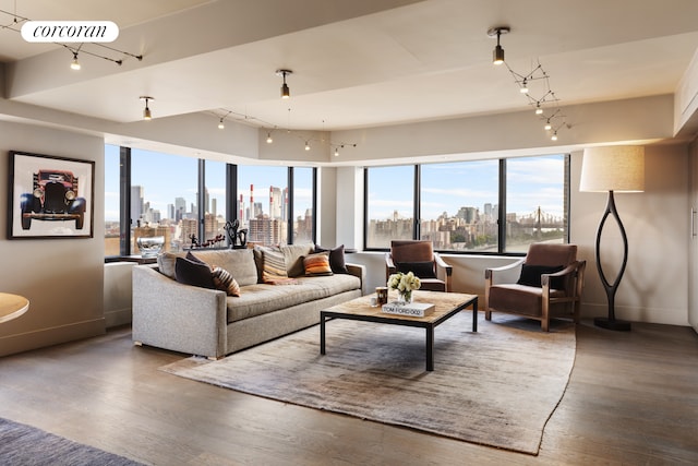 living room with a healthy amount of sunlight, a view of city, baseboards, and wood finished floors