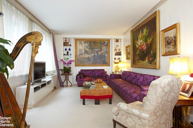 330 E 57th St Unit 3, New York City, NY 10022 - living area featuring carpet and built in features
