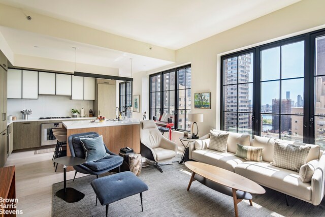 living room with light hardwood / wood-style floors