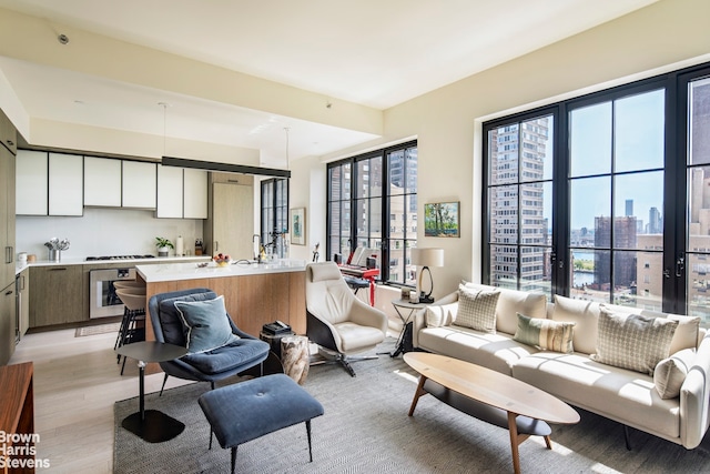 living area with a view of city and light wood-style flooring