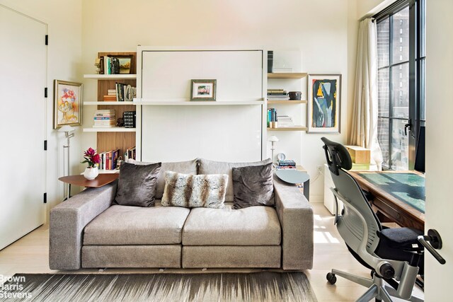 office featuring light wood-type flooring