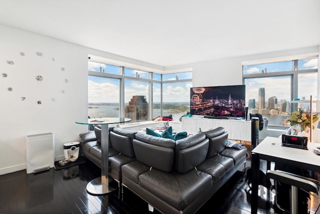 living room with hardwood / wood-style floors