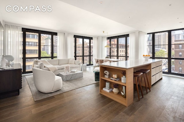 living room featuring dark wood-type flooring and a wall of windows