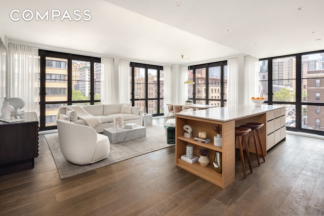 living room featuring a wall of windows and dark wood-style floors