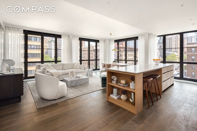 living room featuring dark wood finished floors and floor to ceiling windows