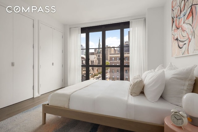 bedroom with multiple closets, wood finished floors, and a city view