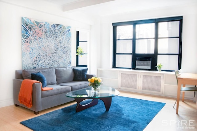 235 E 22nd St Unit 4M, New York City, NY 10010 - living area featuring radiator, wood finished floors, and cooling unit