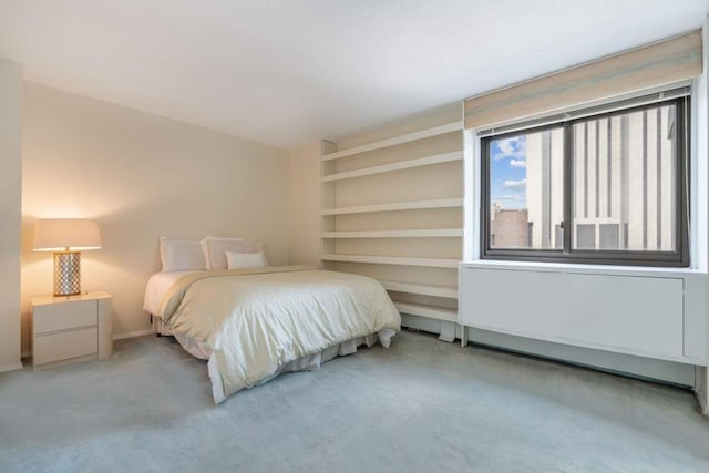 bedroom with carpet flooring