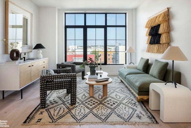 living room featuring wood-type flooring