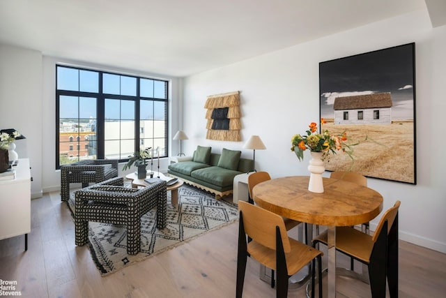 living room with hardwood / wood-style floors