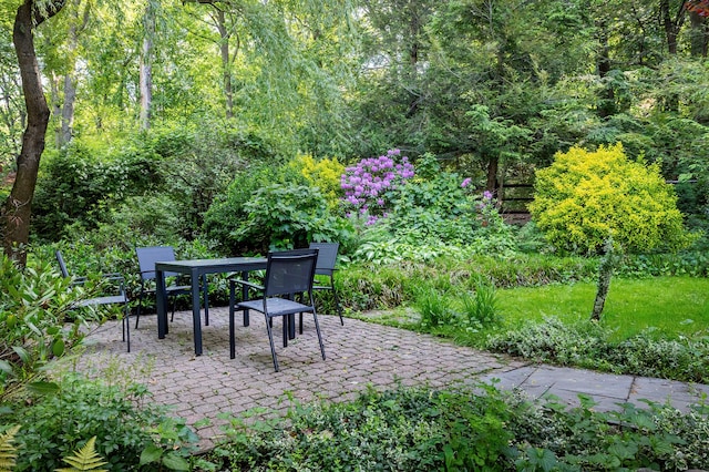 2727 Palisade Ave Unit 7-B, New York City, NY 10463 - view of patio