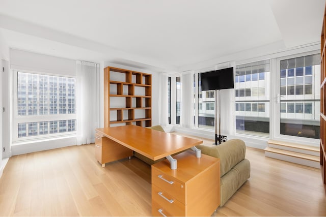 office featuring light wood-type flooring