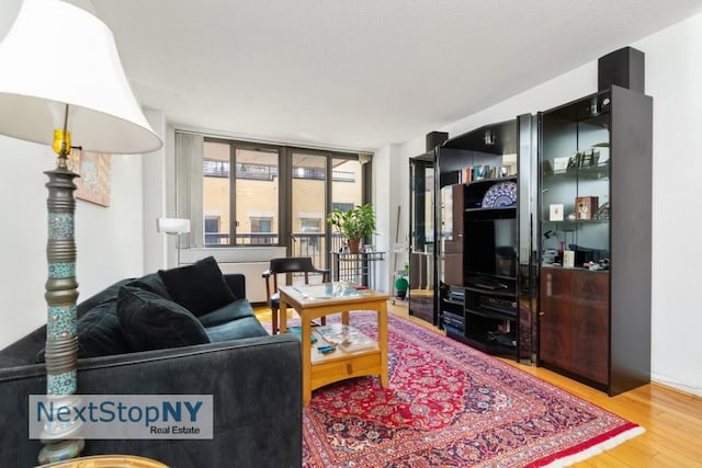 living room with hardwood / wood-style floors and a wall of windows