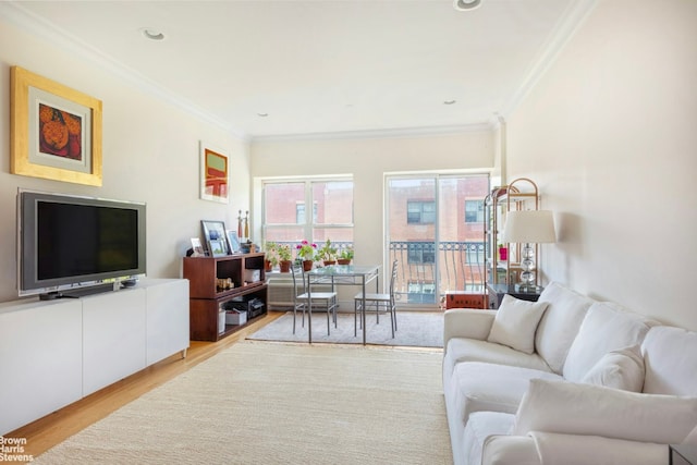 living room featuring crown molding and light wood-type flooring