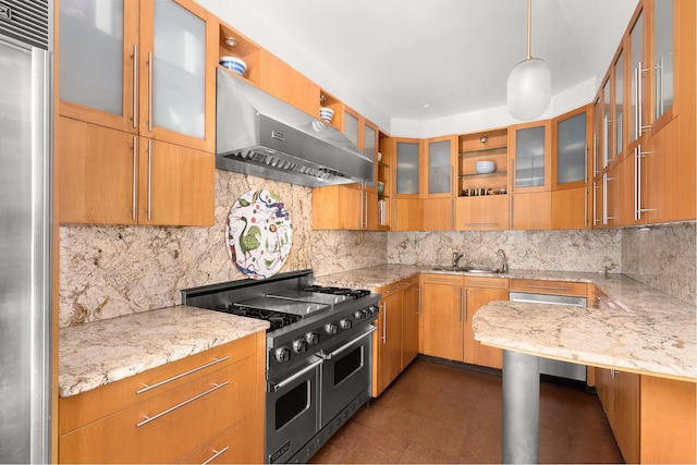 kitchen with exhaust hood, decorative light fixtures, backsplash, a sink, and premium appliances
