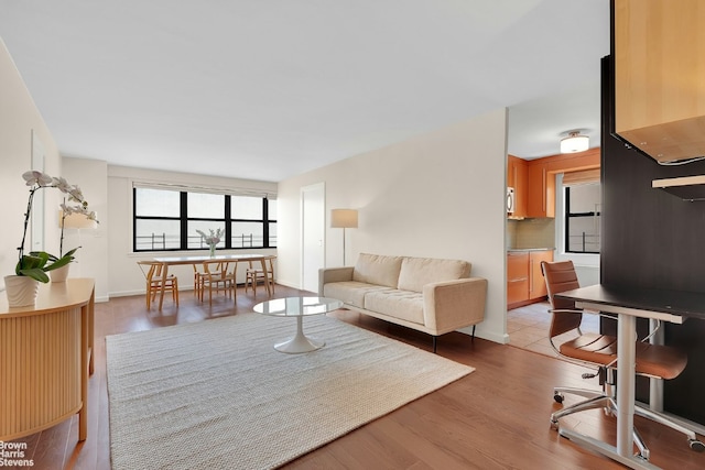 living room featuring light hardwood / wood-style flooring