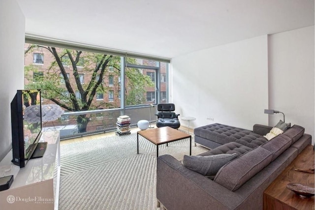 living area with a wall of windows and wood finished floors