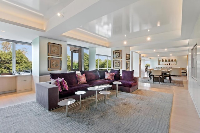 living room featuring a tray ceiling and light hardwood / wood-style floors