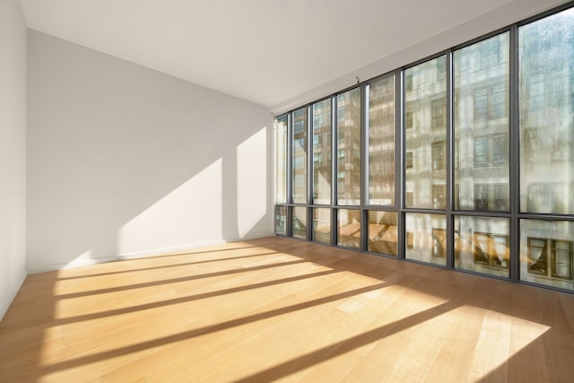 unfurnished room with wood finished floors and floor to ceiling windows