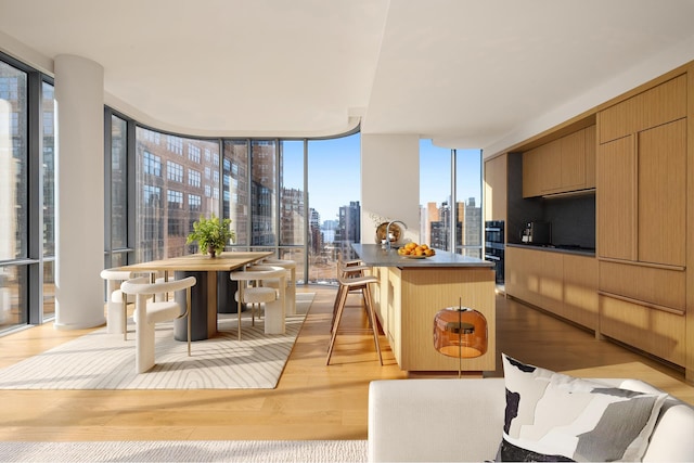 living area featuring a view of city, light wood-style flooring, a healthy amount of sunlight, and a wall of windows
