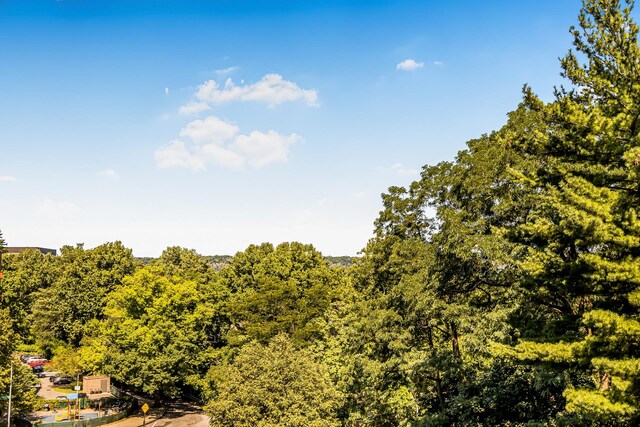 view of local wilderness