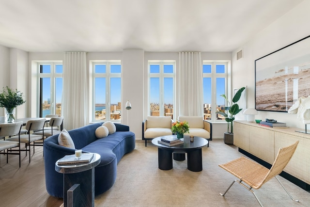 living room featuring a wealth of natural light