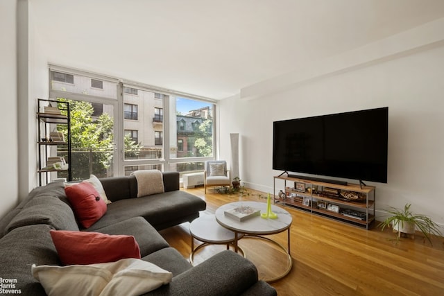 living room featuring hardwood / wood-style floors and expansive windows