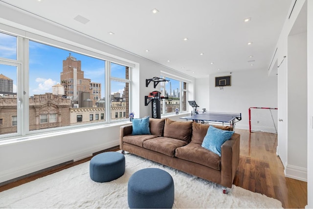 living room with hardwood / wood-style flooring