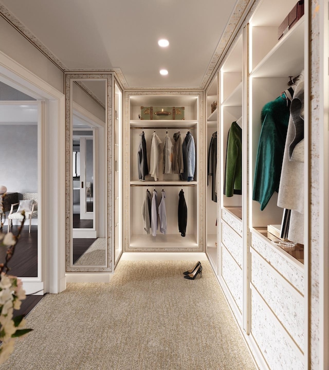 spacious closet featuring carpet