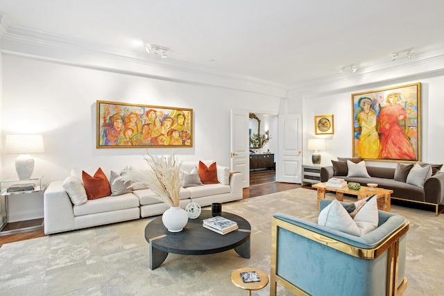 living area with rail lighting and ornamental molding