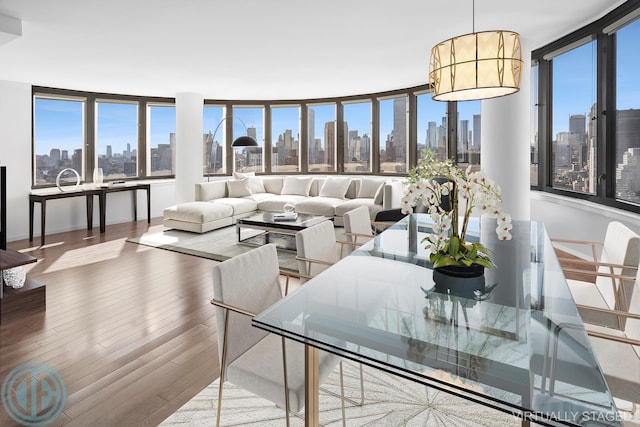 living area with a view of city, wood finished floors, and a healthy amount of sunlight