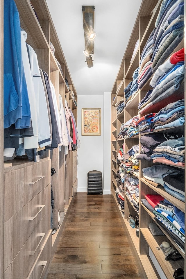 spacious closet with wood finished floors