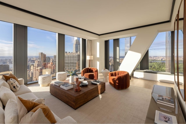 living room featuring plenty of natural light and a city view