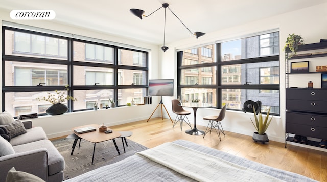 sitting room with a healthy amount of sunlight and hardwood / wood-style floors