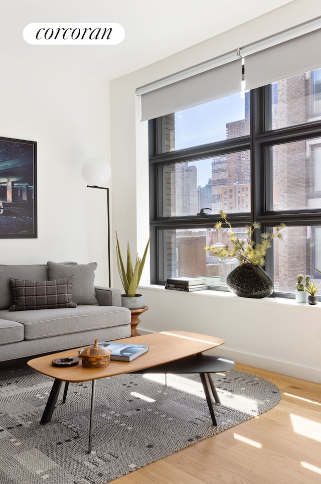 living area featuring baseboards, a city view, and wood finished floors