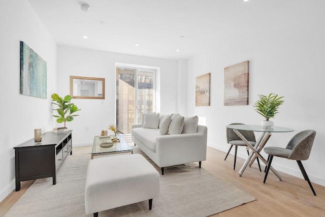 living room featuring light hardwood / wood-style flooring