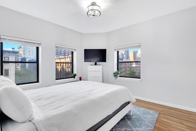 bedroom featuring wood-type flooring and multiple windows