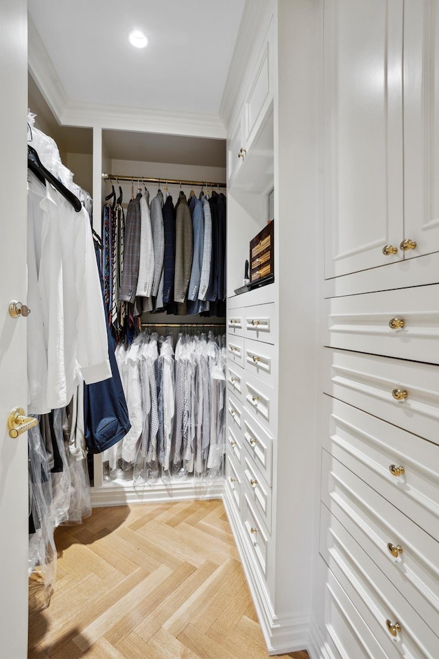 view of spacious closet