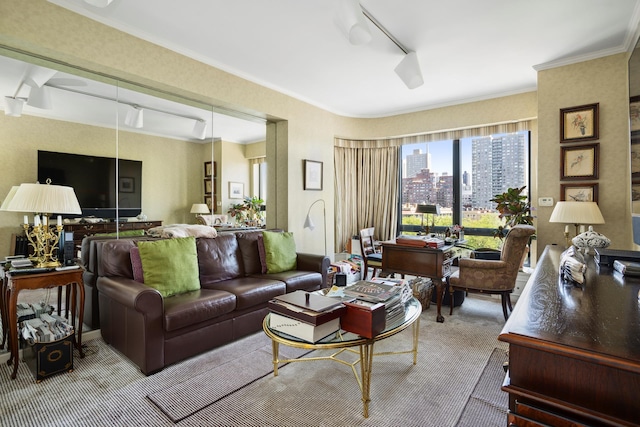 living room featuring carpet floors, a view of city, rail lighting, and crown molding